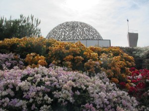 Street view of the memorial surrounded by Bouganvillias