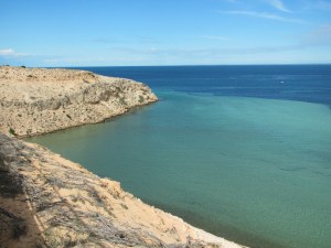 Eagle Bluff lookout to view marine life