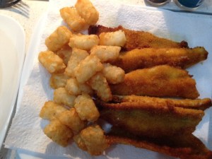 And dinner tonight was provided by John and Margaret, our neighbours, who went fishing this morning and gave us a brilliant feed of fresh whiting fillets for our dinner tonight. The potato gems we were holding for Sam and Ryan when they join us in Broome. ( But don't tell them!)