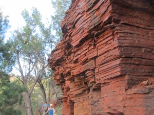 The building blocks that make up the sides of the gorges
