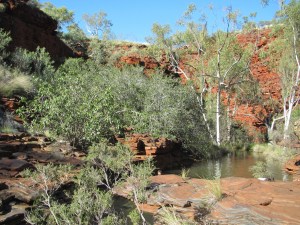 Weano Gorge, the first of about 5 we entered on our bus tour.