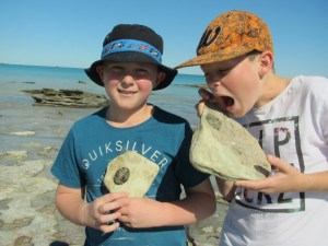 Gathering fossils at Cable Beach
