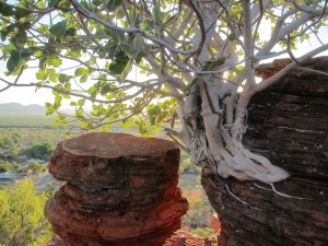Life can be tough in the Kimberley. Not exactly a place for wimps.