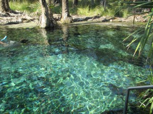 Bitter Springs 2 km east of the township, is another crystal jewel