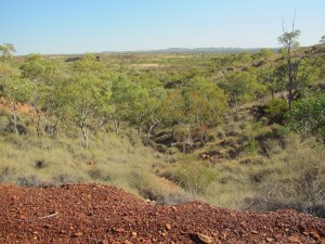 The drive down to Tennant Creek is quite flat until the townsite is surrounded by a pleasant outcrop of hills.