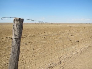 Winton's hungry dirt