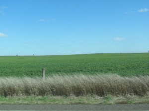 What relief from the monotony of the arid regions of our wide brown land.