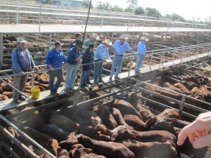Plenty of stock agents on hand for the auction. Note, not hammer to be seen.