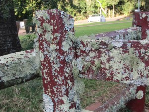Fresh mountain air encourages lichen on everything.