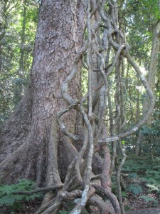 A great setting for an Enid Blyton famous five novel