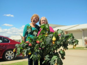 Dot and Isabel admiring the Chinese Lantern shrub.