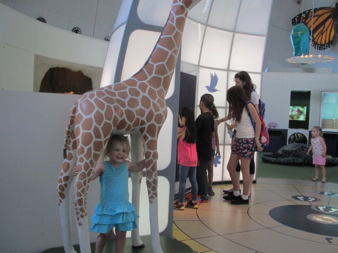 When Granma took the littlies to the Melbourne Museum Quinn thought it fun to hide under a Giraffe while big sister Frankie (far right) looked for her.