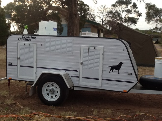 Even the local dogs can read what's carried in the canine conveyance
