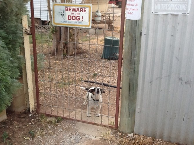 This little chap was a real threat!